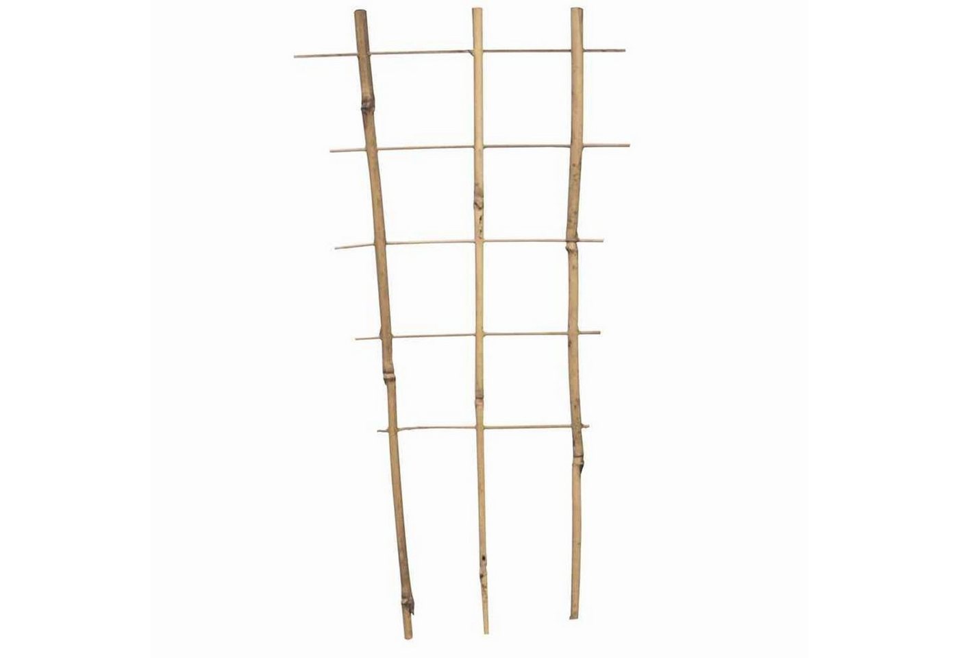 Siena Garden Rankgitter Bambus Rankgitter 30 cm 30 x 17 x 8 cm Siena Garden Rankgitter Bambus Rankgitter 30 cm 30 x 17 x 8 cm von Siena Garden