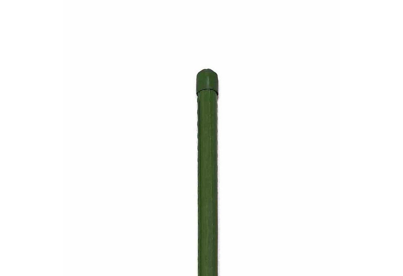 Siena Garden Rankhilfe Pflanzstab 11 x 900 mm Stahlrohr mit PE-Ummantelung Siena Garden Rankhilfe Pflanzstab 11 x 900 mm Stahlrohr mit PE-Ummantelung von Siena Garden