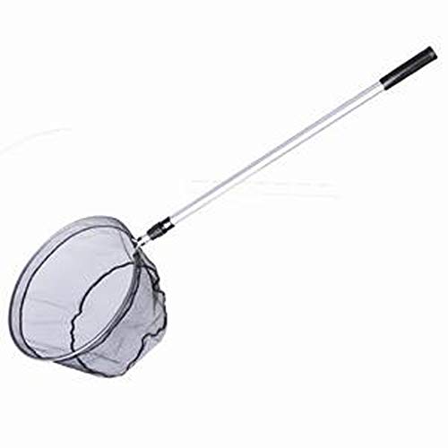 Siena Garden Teleskopkescher 39cm 113-180cm Netz Angelkescher Angelnetz Teichkescher von Siena Garden