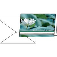 10 SIGEL Trauerkarten Water Lily DIN A6 10 SIGEL Trauerkarten Water Lily DIN A6 von Sigel