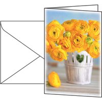 SIGEL Grußkarten Ranunculus DIN A6 von Sigel