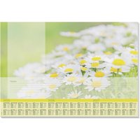 SIGEL Schreibtischunterlage 59,5 x 41,0 cm grün/weiß von Sigel