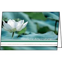 SIGEL Trauerkarten Trauerkarten Water Lily DS103 DIN A6 von Sigel