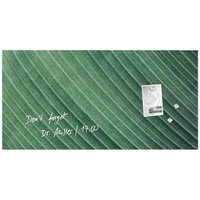Sigel Glas-Magnettafel Artverum Palm Leaf (B x H) 91cm x 46cm Grün GL371 von Sigel