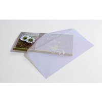 sigel Briefumschläge transparent DIN lang ohne Fenster - 25 Stück von Sigel