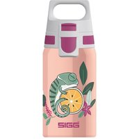 Flasche Shield one Flora, 500 ml von Sigg