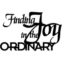 Metall Finding Joy in The Ordinary Wandkunst von SignPerformance