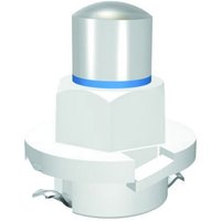 Signal Construct - MWTB8414 LED-Signalleuchte Gelb B8.0-12 (ebsr/bax) ähnlich 24 v/ac, 24 v/dc 40 von Signal Construct