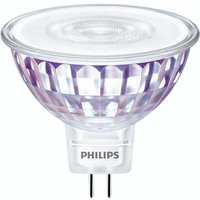 Philips Lighting LED-Reflektorlampe MR16 930 60Gr. MAS LED sp #30726100 Philips Lighting LED-Reflektorlampe MR16 930 60Gr. MAS LED sp #30726100 von Signify Lampen