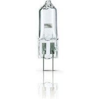 Philips Lighting Projektionslampe 12V/50W 7027 - 40982950 von Signify Lampen