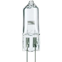 Philips Lighting Projektionslampe 24V/150W 7158 - 40983650 Philips Lighting Projektionslampe 24V/150W 7158 - 40983650 von Signify Lampen