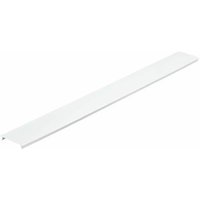 Philips Lighting Blindabdeckung weiß LL500Z BC L2300 WH - 38354400 von Signify PLS