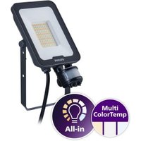 Philips Lighting LED-Strahler 830/840 BVP167 LED #73617799 - 73617799 von Signify PLS