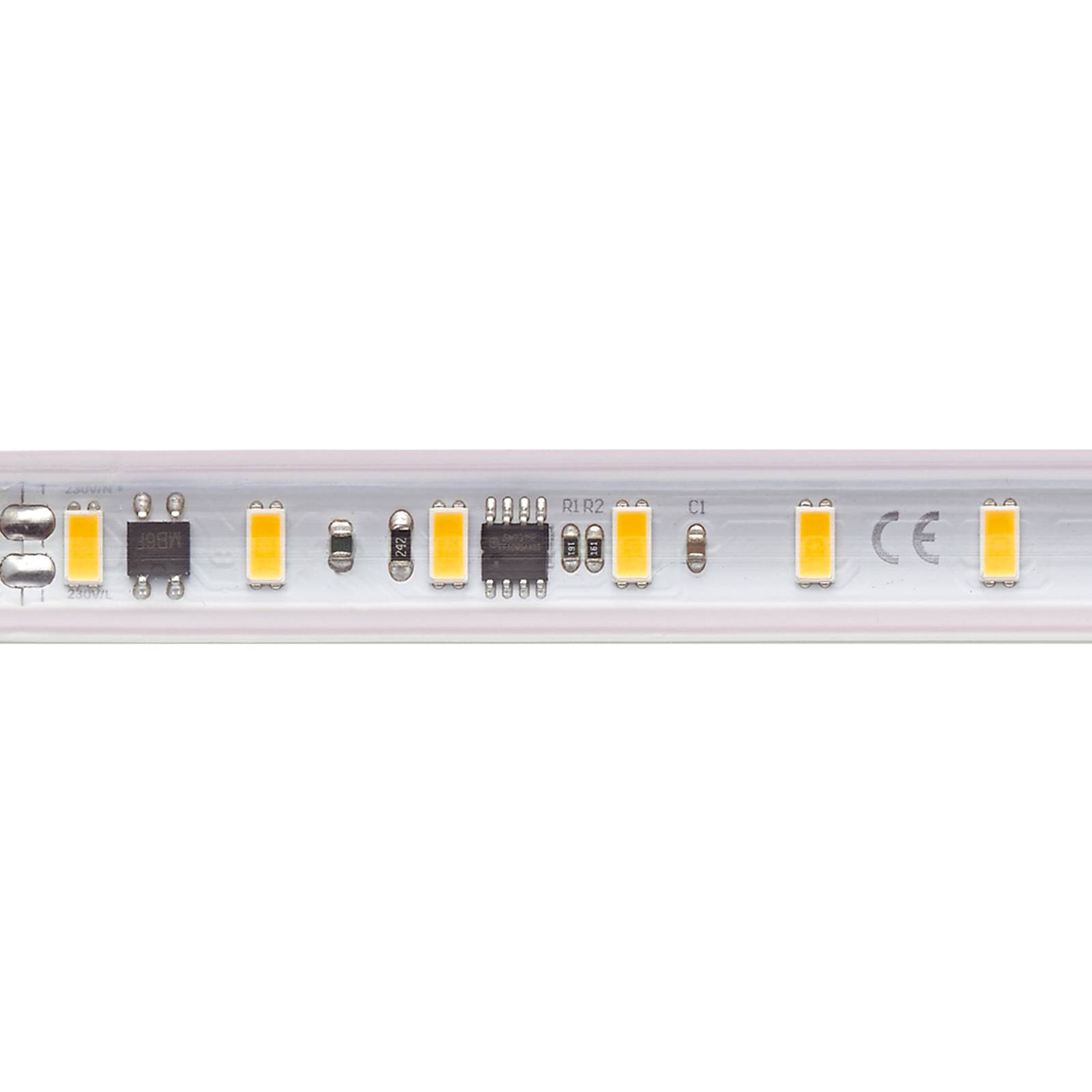 LED-Strip 5966 Set, 230V, 10m, IP65, 8W/m, 3.000 K von Sigor