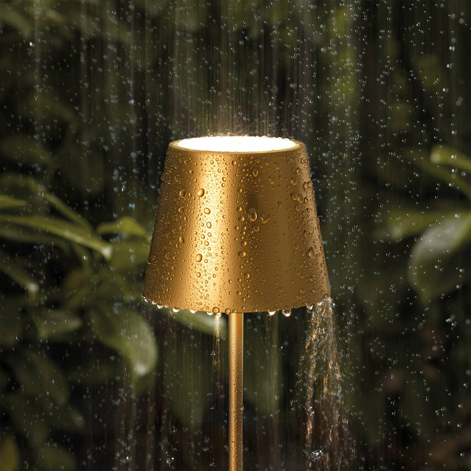 LED-Akku-Tischleuchte Nuindie, rund, 38 cm, gold von Sigor