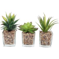 SIL - Künstliche Pflanzen im Glastopf 6.5 x 6.5 x 17 cm (3er-Set) von Sil