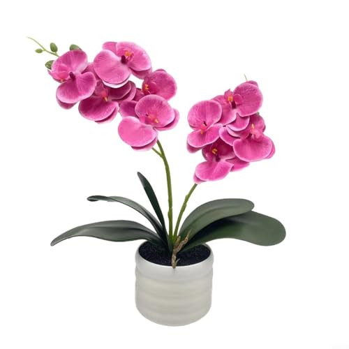 Sileduove Orchidee aus Seide mit dekorativer Vase, zwei Stielen, lebensechtes Blumen-Mittelstück (lila) von Sileduove