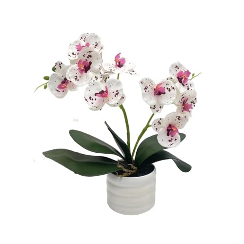 Sileduove Orchidee aus Seide mit dekorativer Vase, zwei Stielen, lebensechtes Blumen-Mittelstück (lila und weiß) von Sileduove