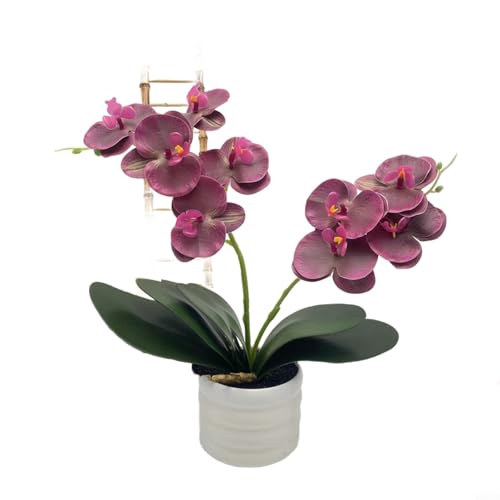 Sileduove Orchidee aus Seide mit dekorativer Vase, zwei Stielen, lebensechtes Blumen-Mittelstück (violette Augenbrauen) von Sileduove
