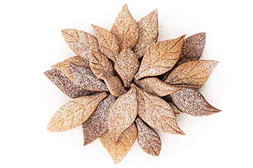 Silikomart | Voilà Cookie, Ausstechform "Blätter" in Blattform, Maße 240 x 150 mm h 20 mm von silikomart