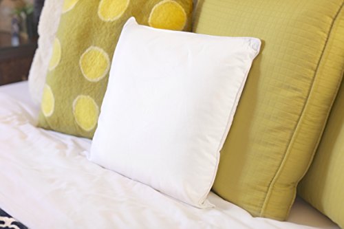 Silk Bedding Direct. Luxus Kissen Mit Maulbeerseide Füllung. 40cm x 40cm. Hypoallergen. Zertifizierung, Oeko-TEX® von Silk Bedding Direct