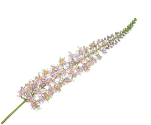 Silk-ka Künstliche Blume, Seidenblume, Eremurus-Stiel, Rosa, 119 cm Silk-ka Künstliche Blume, Seidenblume, Eremurus-Stiel, Rosa, 119 cm von Silk-ka