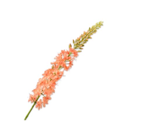 Silk-ka Künstliche Blume, Seidenblume, Eremurus-Stiel, lachsrosa, 107 cm von Silk-ka