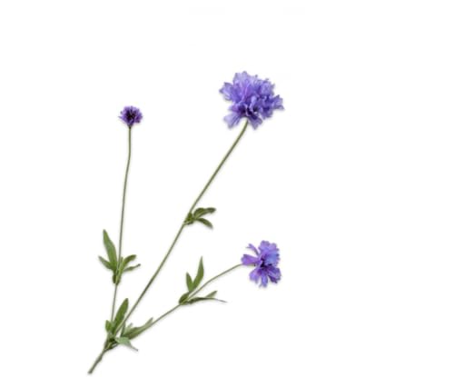 Silk-ka Künstliche Blume – Seidenblume, Kornblumenzweig, Lavendel, 65 cm, Sonderangebot pro 2 Stück von Silk-ka