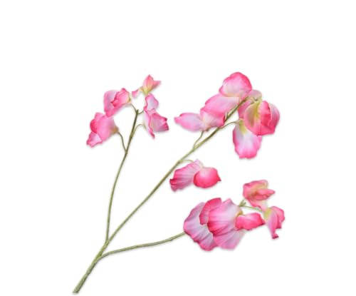 Silk-ka Künstliche Blume – Seidenblume, Lathyrus-Zweig, Schönheitscreme, 66 cm, Sonderangebot pro 2 Stück von Silk-ka