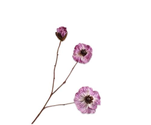 Silk-ka Künstliche Blume – Seidenblume, Mohnzweig, Flieder 72 cm, Rabattangebot pro 2 Stück von Silk-ka