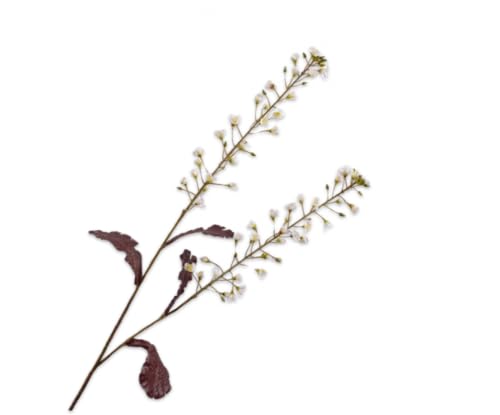 Silk-ka Künstliche Blume – Seidenblume, Primelzweig, cremefarben, 85 cm von Silk-ka
