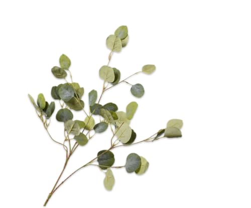 Silk-ka Künstliche Blume – Seidenblume Eukalyptuszweig grün 101 cm von Silk-ka