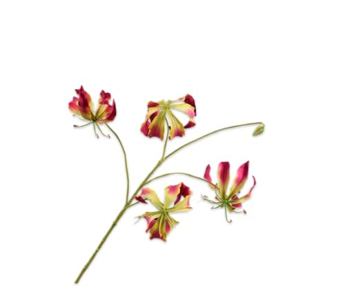 Silk-ka Künstliche Blume – Seidenblume Gloriosa Branch Beauty 89 cm von Silk-ka