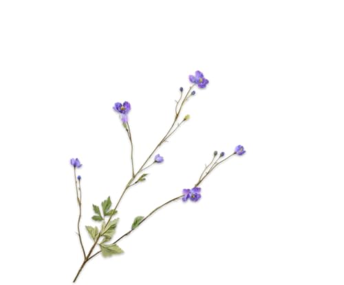 Silk-ka Künstliche Blume – Seidenblumenblütenzweig Flieder 99 cm Sonderangebot pro 2 Stück von Silk-ka