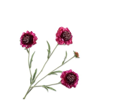 Silk-ka Künstliche Blumen-Seidenblumen Scabiosa-Zweig Lila-Rosa 80 cm Silk-ka Künstliche Blumen-Seidenblumen Scabiosa-Zweig Lila-Rosa 80 cm von Silk-ka