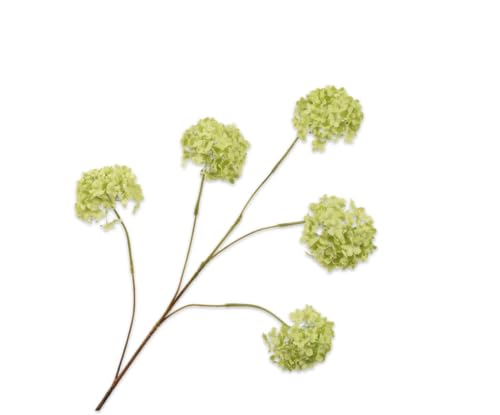 Silk-ka Künstliche Blumen-Seidenblumen Schneeballzweig Grün 106 cm Silk-ka Künstliche Blumen-Seidenblumen Schneeballzweig Grün 106 cm von Silk-ka