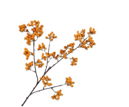 Silk-ka Kunstblume Seide Beerzweig Orange-Gelb 82 cm von Silk-ka