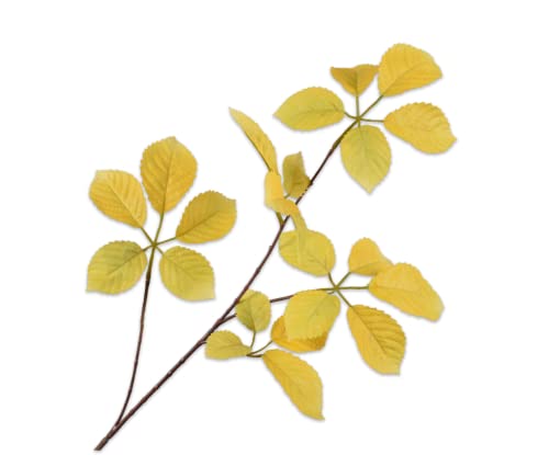 Silk-ka Kunstblume-Seidenblume Blattzweig Gelb 74 cm Sparangebot Pro 2 Stück von Silk-ka