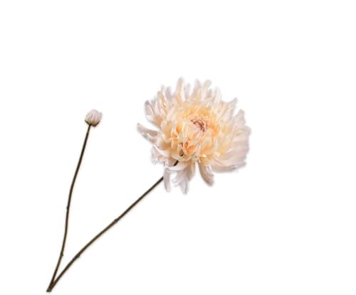 Silk-ka Kunstblume - Seidenblume Chrysanthemenzweig Creme 101cm Silk-ka Kunstblume - Seidenblume Chrysanthemenzweig Creme 101cm von Silk-ka