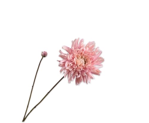 Silk-ka Kunstblume-Seidenblume Chrysanthemenzweig Creme-Pink 101cm von Silk-ka
