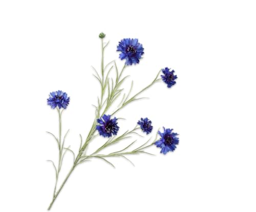 Silk-ka Kunstblume - Seidenblume Kornblumenzweig Blau 92 cm von Silk-ka