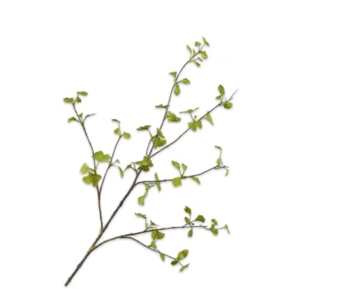 Silk-ka Kunstblume-Seidenblume-Künstlicher Zweig Ginkgo-Zweig Grün 115 cm von Silk-ka