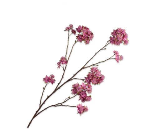 Silk-ka Kunstblume-Seidenblume-Kunstzweig Astrantiazweig rosa-lila 110 cm Silk-ka Kunstblume-Seidenblume-Kunstzweig Astrantiazweig rosa-lila 110 cm von Silk-ka