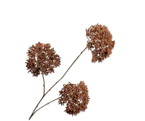 Silk-ka Kunstblume - Seidenblume - Kunstzweig Trachelium braun 85 cm Silk-ka Kunstblume - Seidenblume - Kunstzweig Trachelium braun 85 cm von Silk-ka