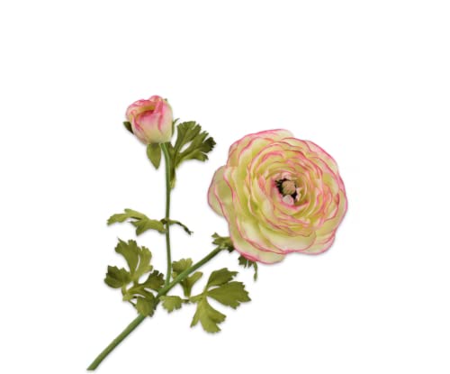 Silk-ka Kunstblume-Seidenblume Ranunkel Stängel Rosa-Grün 63 cm Sparangebot Pro 2 Stück von Silk-ka