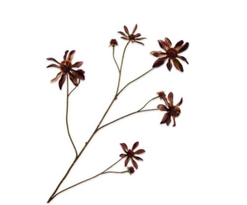 Silk-ka Kunstblume - Seidenblume Rudbeckia Zweig Bordeaux-Braun 91cm Silk-ka Kunstblume - Seidenblume Rudbeckia Zweig Bordeaux-Braun 91cm von Silk-ka