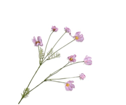 Silk-ka Kunstblume – Seidenblumen, Kosmoszweig, Rosa-Flieder, 102 cm Silk-ka Kunstblume – Seidenblumen, Kosmoszweig, Rosa-Flieder, 102 cm von Silk-ka