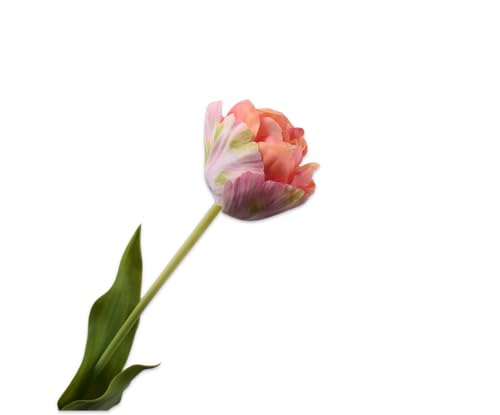Silk-ka Kunstblume – Seidenblumen, Tulpenstiel, rosa-grün, 66 cm Silk-ka Kunstblume – Seidenblumen, Tulpenstiel, rosa-grün, 66 cm von Silk-ka