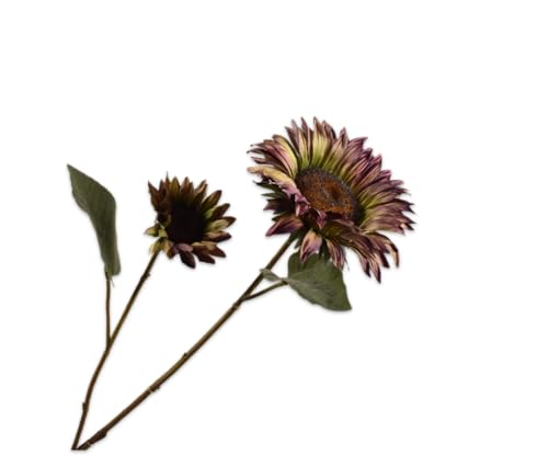 Silk-ka Kunstblume - Seidenblumenzweig Bordeaux-Grün 75cm Silk-ka Kunstblume - Seidenblumenzweig Bordeaux-Grün 75cm von Silk-ka