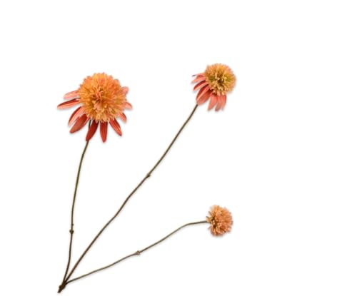 Silk-ka Kunstblumen - Seidenblumen Rudbeckia Zweig Lachs-Orange 65 cm pro 2 Stück Silk-ka Kunstblumen - Seidenblumen Rudbeckia Zweig Lachs-Orange 65 cm pro 2 Stück von Silk-ka
